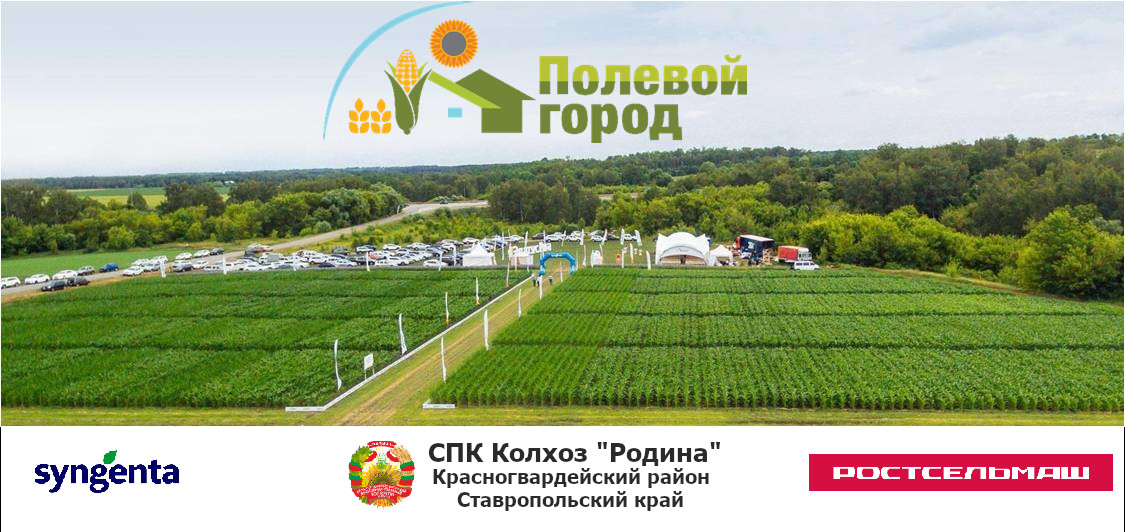 Приглашение на мероприятие "Полевой город"